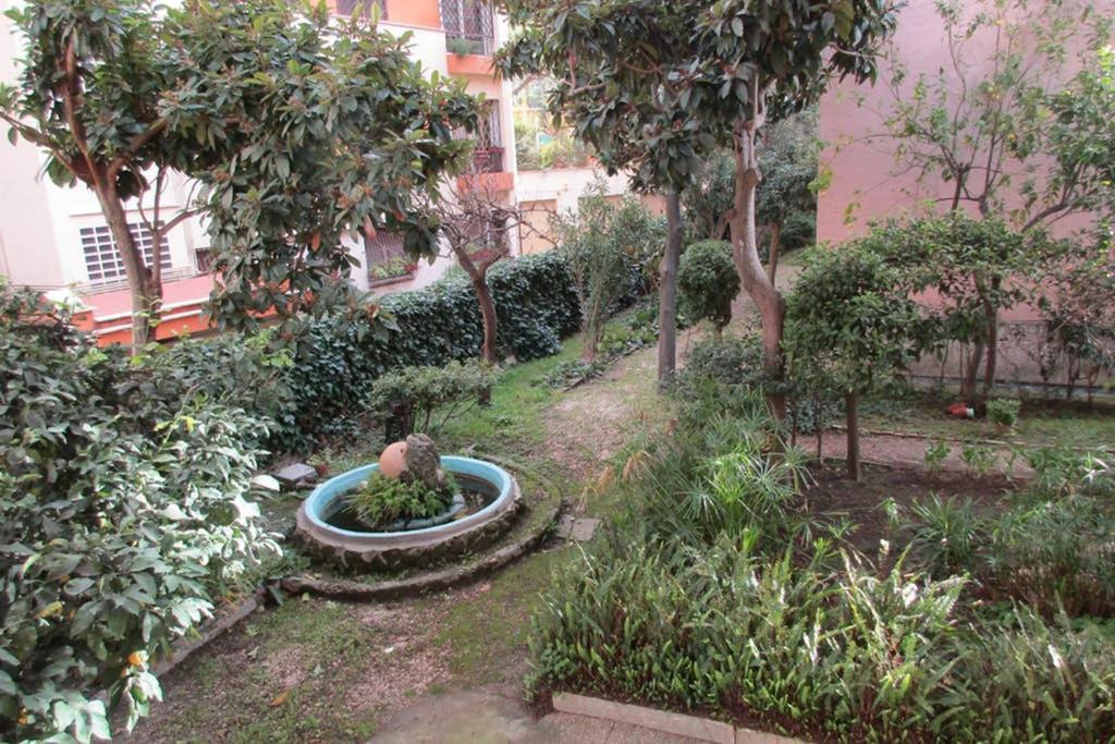 A Casa Di Rosa Appartement Rome